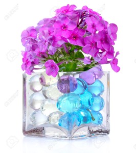 Váza s hydrogelem